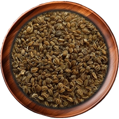 Ajmoda Celery Seed