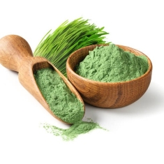 Barleygrass Powder
