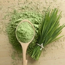 Wheatgrass Powder
